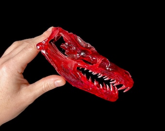 Transparent Red Python Skull Replica: 5.75" Resin Oddity