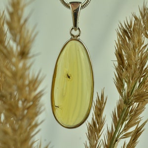 Amber Inclusion with 2 Insects Pendant, Genuine Baltic Amber, Amber & Sterling Silver, Unique Amber Jewelry, Flies in Amber, Amber Pendant