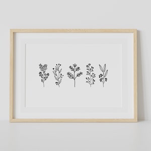 May include: A framed print with a minimalist black and white illustration of five different types of foliage.