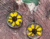 Real pressed black eyed susan earrings