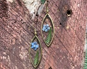 Real pressed fern and forget me not gold earrings
