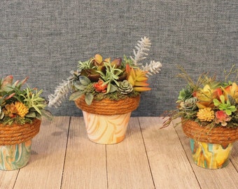 Faux Mixed Succulent Arrangements in Hand-painted Containers (Set of 3), Free Shipping, Suminagashi Marbling, Jute Wrap, Coral/Green/Copper