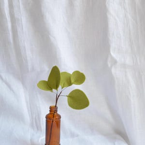 May include: An amber glass bottle with a decorative base contains a felt eucalyptus branch with light green leaves. The bottle is set against a white, textured backdrop.