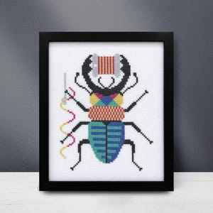May include: Framed cross-stitch art depicting a stylized beetle with large pincers. The beetle has a colourful design with a red, blue, green, and yellow body. A needle and thread are included in the design. The frame is black.