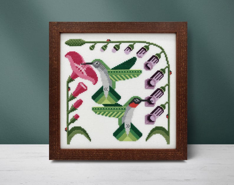 Pu&ograve; includere: Un'opera d'arte a punto croce incorniciata con due colibr&igrave; con corpi verdi e grigi, becchi rossi e ali spiegate. Gli uccelli sono vicino a fiori rosa e viola, con fogliame verde. La cornice &egrave; di colore marrone scuro.