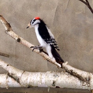 Needle Felted Woodpecker