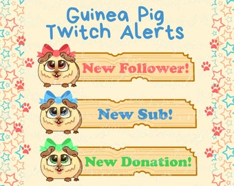 Three Guinea Pig Twitch Alerts Pet And Animals Non Animated 700x200px Hand Crafted Graphics For Streaming Start Up Affiliate