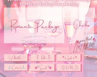 Romantic Light Pinks Holiday Twitch Overlay Package Panels and Screen Transitions OBS Streaming Wine and Flowers Pink and Red Overlays