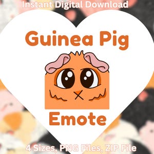 One Orange Guinea Pig Emote For Twitch Youtube and Discord Live Streaming Pet Cam Starter Emotes Cute Profile Guinea Pig Face