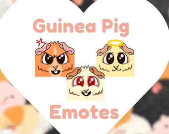 3 Guinea Pig Emotes | Cute Animal Lover | Pet Cam