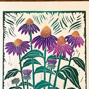 Echinacea - Handmade linocut print - floral art - large block print - botanical print