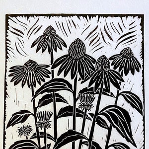 large linocut print - Echinacea - black & white block print - floral art - cone flower - botanical print