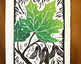 Stampa a blocchi di foglie di acero verde - arte linoleum - foglie autunnali