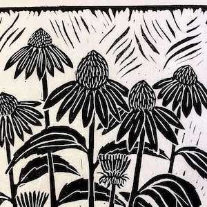 Large Linocut Print Echinacea Black & White Block Print Floral Art Cone ...