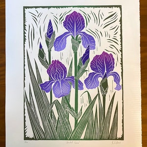 Iris Linocut Print Large Block Print Purple Iris - Etsy