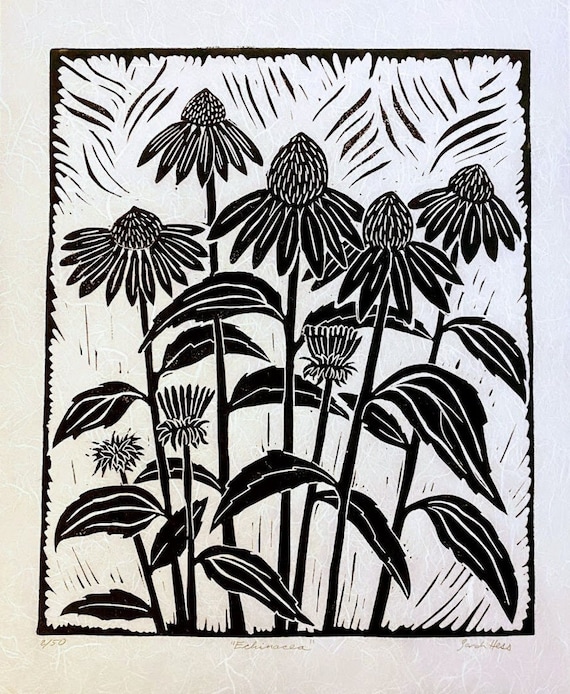 エキナセアのリノカット版画：白黒の花のボタニカルアート - Etsy 日本