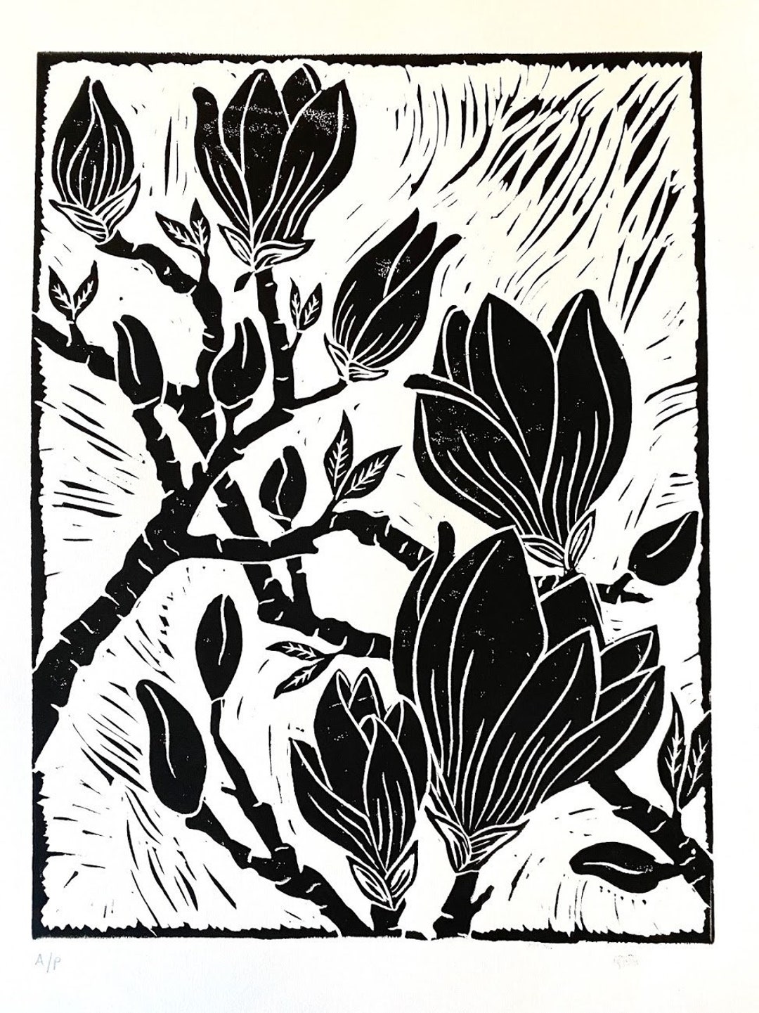 Saucer Magnolia Linocut Print Black and White Art Blossoms Floral Art  Botanical Print -  Canada