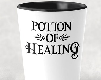 DnD Shot Glass Dungeons and Dragons Gifts for Dungeon Master D and D Player Gift Funny DnD Gift Dungeons and Dragons Party Potion of Healing