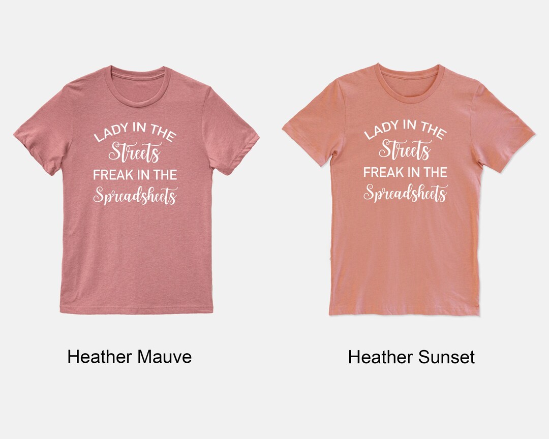 Lady in the Streets Freak in the Spreadsheets T Shirt Funny Accounting