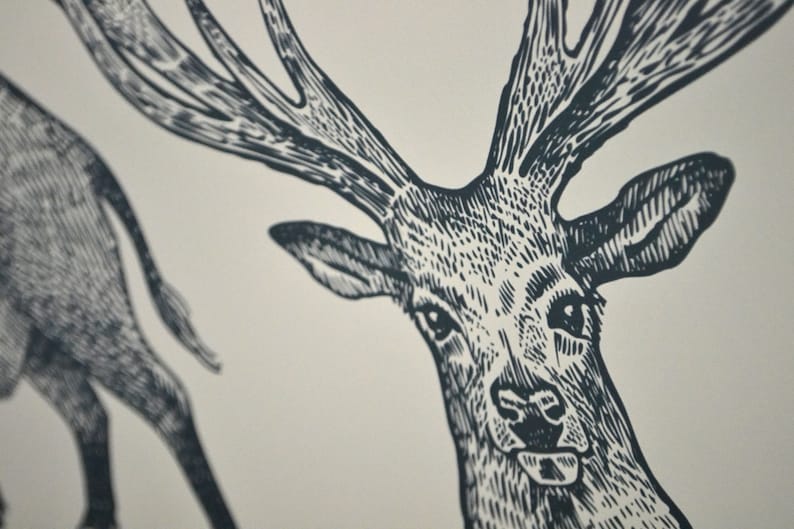 May include: A black and white illustration of a deer's head with antlers. The deer is looking directly at the viewer.