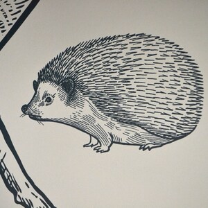 May include: Black and white line drawing of a hedgehog with a spiky back and a small, pointed nose. The hedgehog is facing left and is surrounded by a white background.