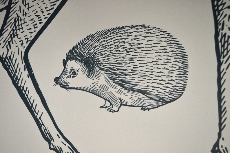 May include: Black and white line drawing of a hedgehog with a spiky back and a small, pointed nose. The hedgehog is facing left and is surrounded by a white background.