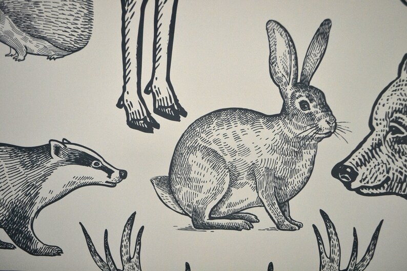 May include: Black and white line drawing illustration of a rabbit, badger, deer legs, and a bear head. The animals are drawn in a vintage style.