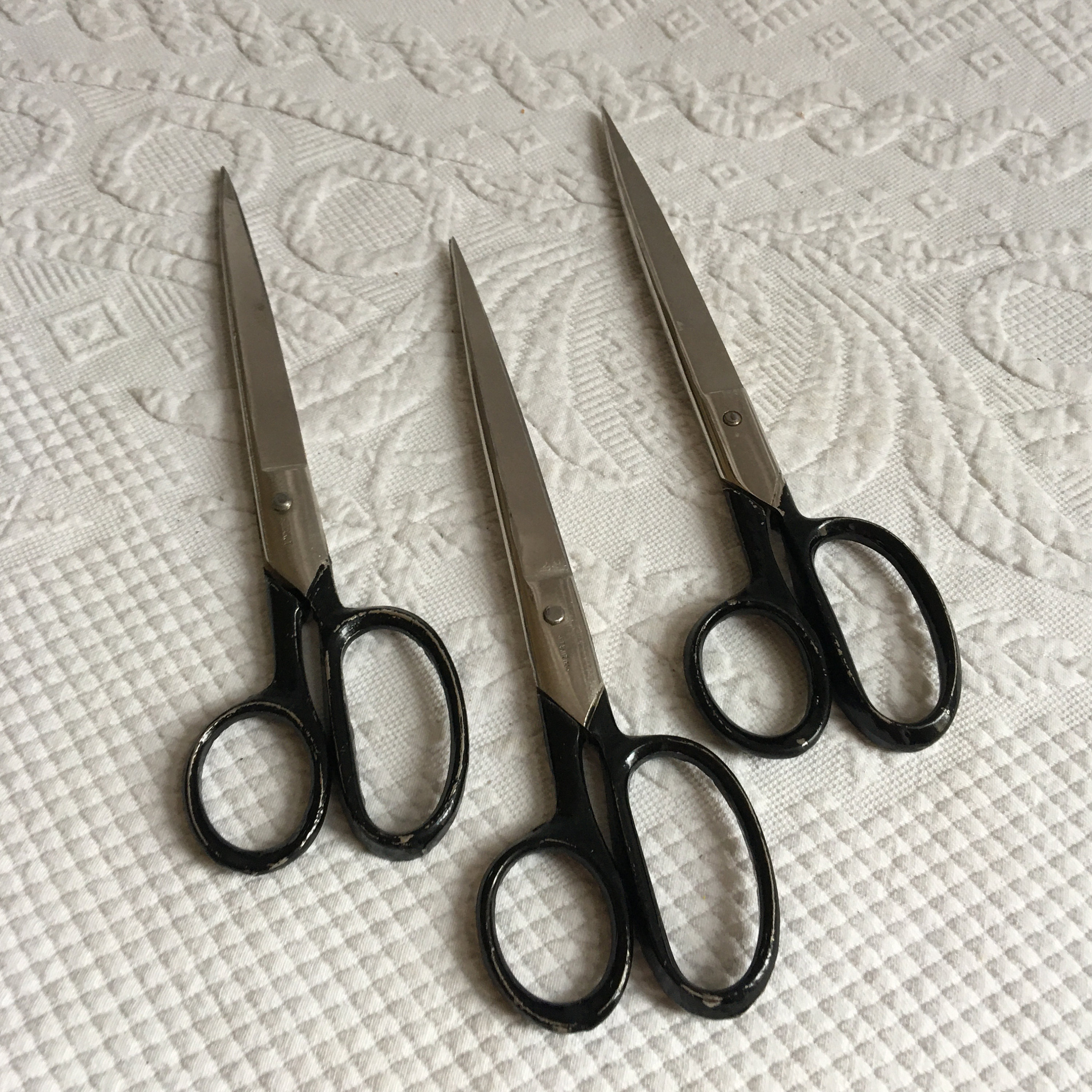 Sharp Hair Scissors, Hairdressing Scissors, Cut Your Hair at Home 8  Colours, With Presentation Case 