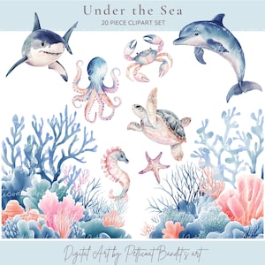 Clipart sous la mer/animaux marins mignons/vie sous-marine/scène aquarelle sous-marine/dauphin/tortue/pieuvre/baleine/PNG