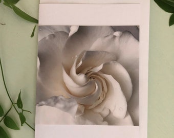 Fragrant gardenia photo card