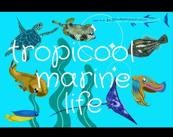 熱帯海洋生物のクリップアート、漫画の魚の画像（デジタルダウンロード）