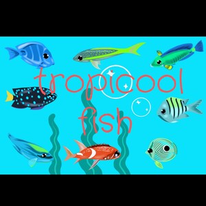 May include: Illustration of various colorful tropical fish on a light blue background. The image includes a blue fish, a green fish, a black fish with blue spots, and a red fish. The text "tropi cool fish" is written in red.