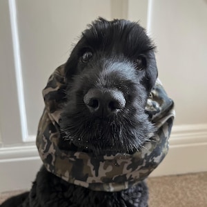 Dog Snood - Medium Size - Cocker Spaniel, American Cocker Spaniel, English Springer Spaniel, Welsh Springer Spaniel, Irish / English Setter image 11