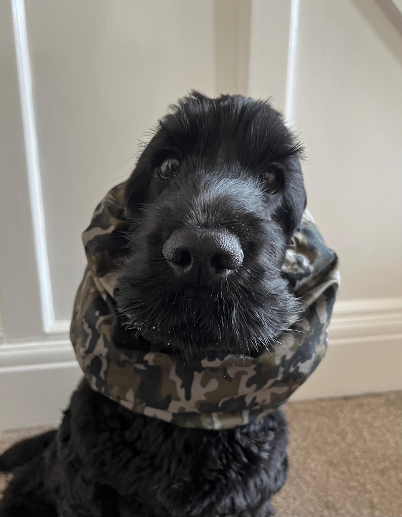 Dog Snood - Medium Size - Cocker Spaniel, American Cocker Spaniel, English Springer Spaniel, Welsh Springer Spaniel, Irish / English Setter image 11