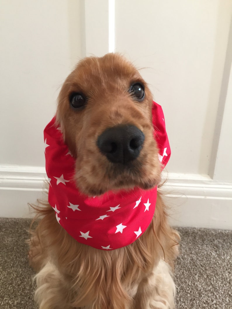 Hund Snood mittlere Größe Cocker Spaniel American Cocker Etsy