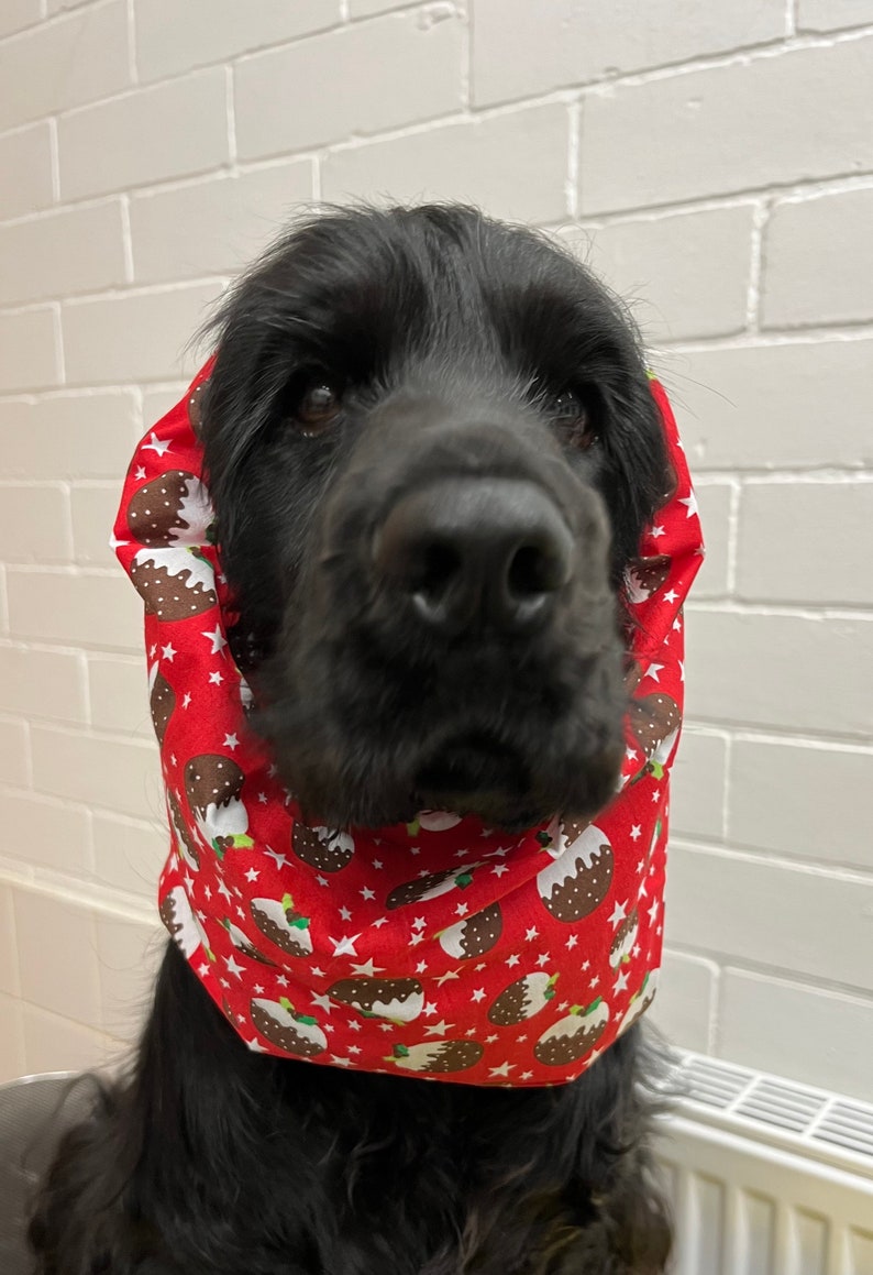 Dog Snood - Medium Size - Cocker Spaniel, American Cocker Spaniel, English Springer Spaniel, Welsh Springer Spaniel, Irish / English Setter image 10