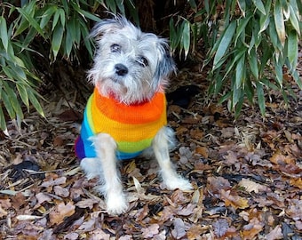 Hand Knit Dog/Pet Jumper in Rainbow and Ivory or Navy Blue