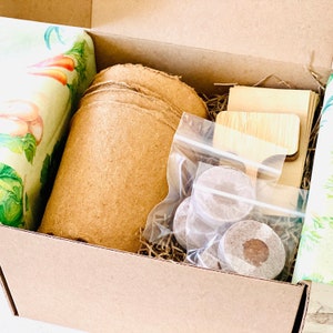 Kit de inicio para un huerto casero: pepino, pimiento, lechuga y tomate imagen 2