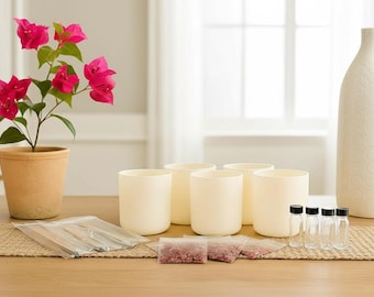 Kit fai da te per realizzare candele per feste: cera di cocco e soia, petali di rosa - Per 5