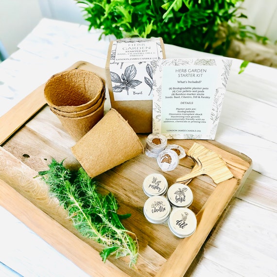 DIY Herb Garden Kit for Beginners | Indoor Plant Growing Set | Herb Garden Seeds, Planters & Gardening Supplies Gift | Grow Kit Starter