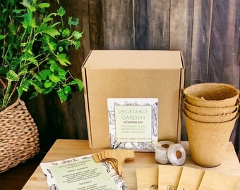 DIY Vegetable Garden Starter Kit: Cucumber, Pepper, Lettuce, Tomato