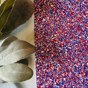 May include: A close-up of a textured surface with a pattern of red, white, and blue speckles. The image also includes a few green and gray leaves on the left side. The speckled pattern is reminiscent of confetti or a patriotic design.