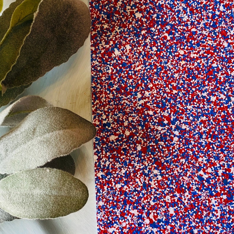 May include: A close-up of a textured surface with a pattern of red, white, and blue speckles. The image also includes a few green and gray leaves on the left side. The speckled pattern is reminiscent of confetti or a patriotic design.
