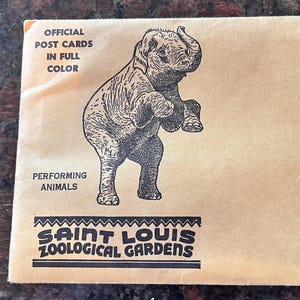 Cartões postais vintage coloridos com animais performáticos do Jardim Zoológico de St. Louis, conjunto de 9 cartões novos em envelope