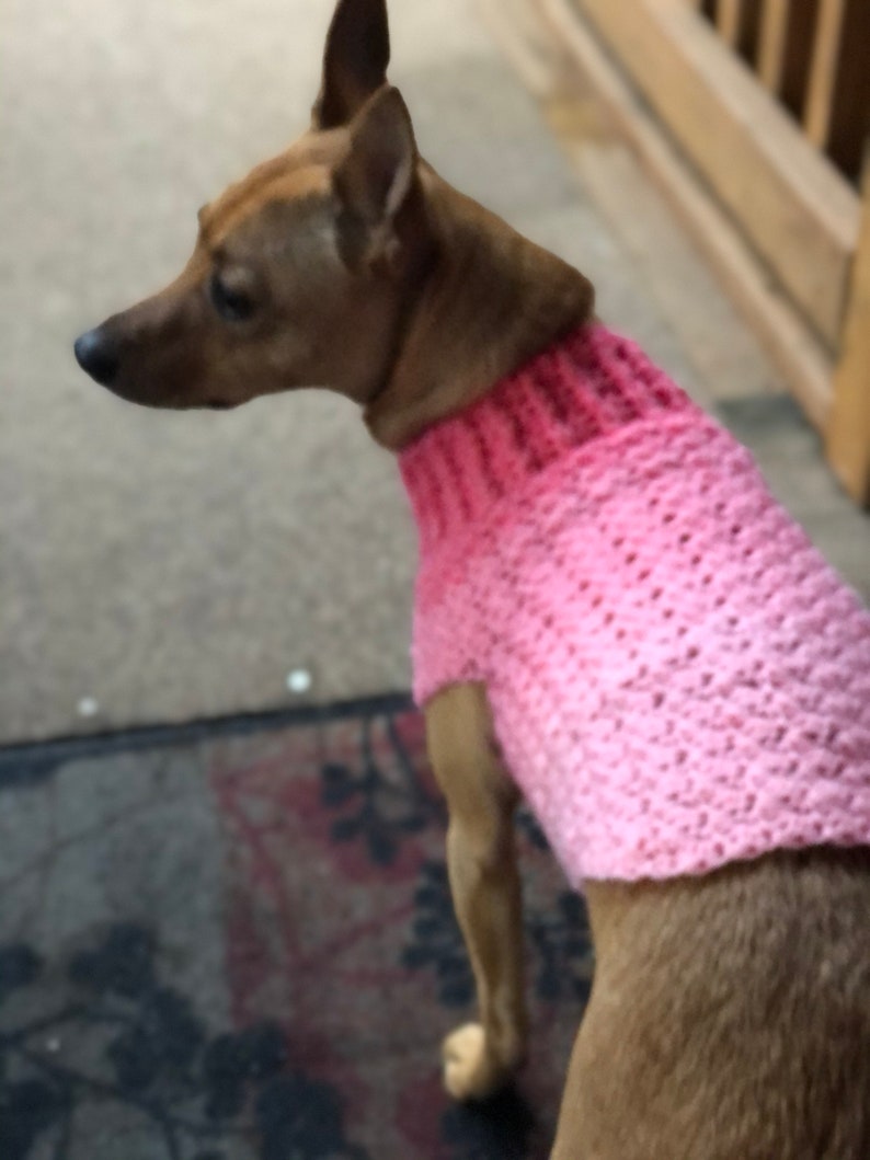 Red Heart Yarn Crocheted Dog Sweater Small 12 Neck 16 Chest CAMOUFLAGE