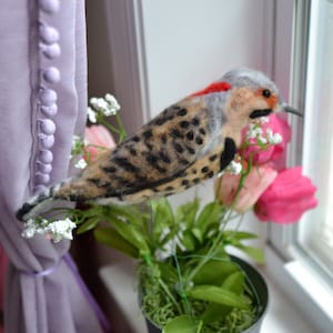 Northern Flicker realistic. real size, wool bird Northern Flicker needle felted bird. Felted birds Christmas ornament.