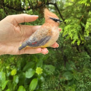 Cedar waxwing bird. Needle felted bird Cedar waxwing. Wool birds. Christmas ornament.