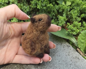 May include: A small, handmade capybara figure. The brown rodent has dark brown details on its head and feet. The capybara is made of a fuzzy material and is held in a hand against a background of green foliage.