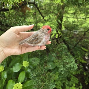 Felted bird house finch.  Needle felted animals. Christmas ornament. Bird gift