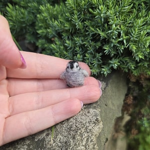 May include: A miniature felted penguin figurine. The penguin is primarily gray with a black head and white accents. The tiny bird is held in a hand, with a green leafy background.